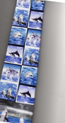 DOLPHINS