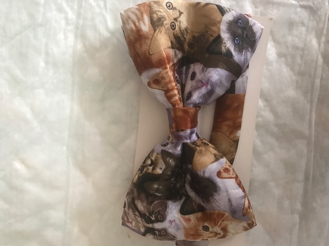 CATS BOWTIE