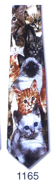 CATS
