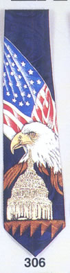 american flag