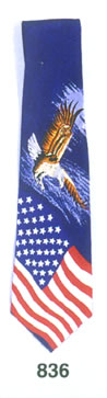 american flag